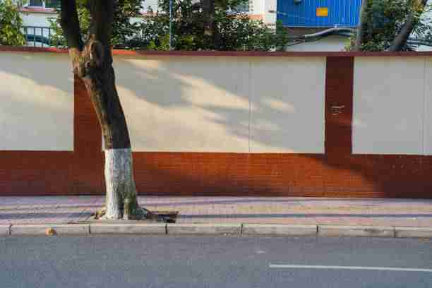 【抖音成人版】环绕式故事线回顾 - 策略指南，抖音2成人版