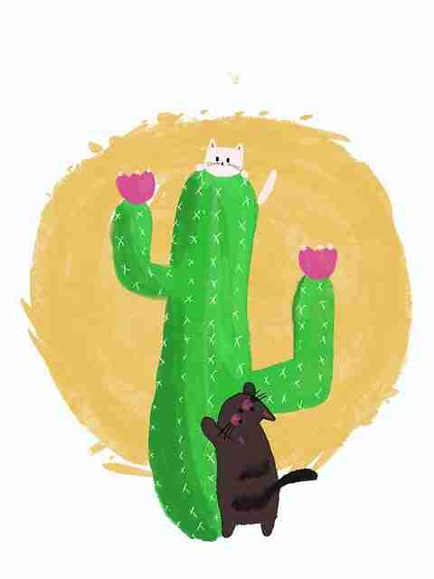 鉴黄师电脑版#破圈秘诀#复盘#梦幻#视角升级,鉴黄师是干什么的