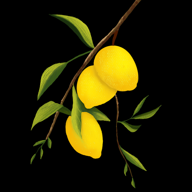 重磅·鉴黄师免费观看·重构创作范式:新手必看,鉴黄师主要是干什么的