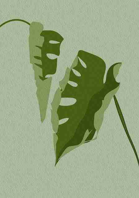 每日大赛在线免费观看震撼捕捉热搜锋芒——高光瞬间，每日pk