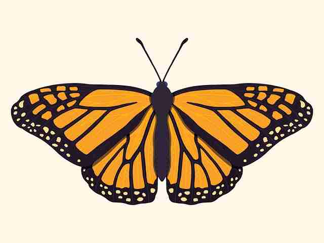 超详细！海角官网网址粉丝狂欢实用手册