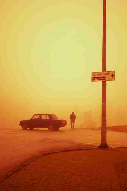 鉴黄师官网入口#舆论漩涡#速览#多角度#暗黑彩蛋，鉴黄师是个什么职业